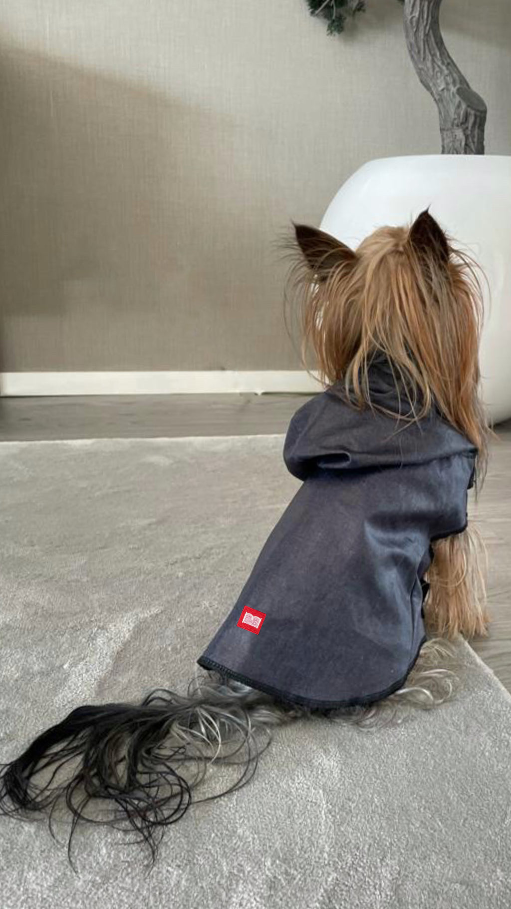 Capa impermeável para cão |Pet Collection